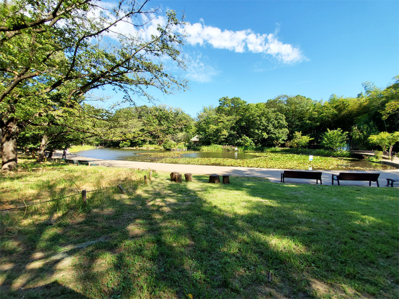 シープに隣接する「せせらぎ公園」は、水辺や古民家のある自然豊かな公園として人気の高い公園です