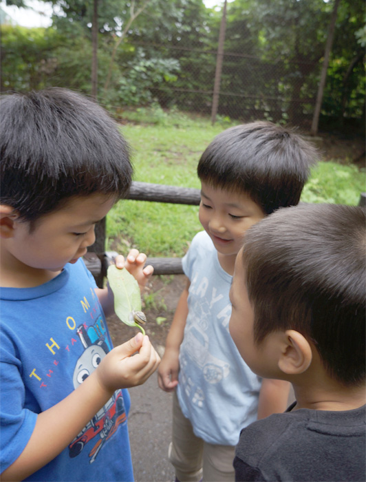シープの子どもへのまなざし ～甘えんぼうでいいんだよ～